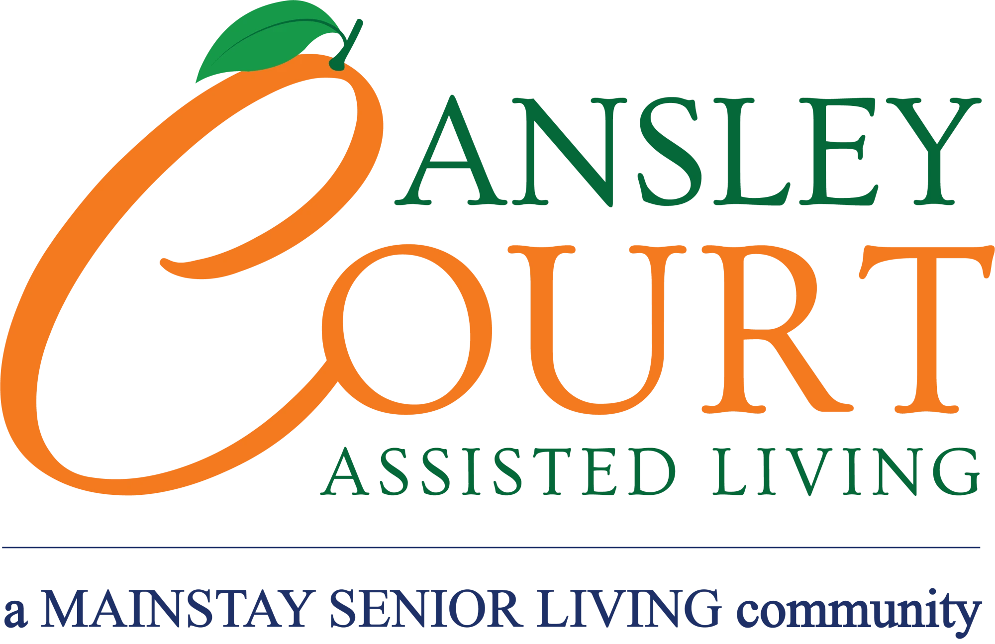 website logo