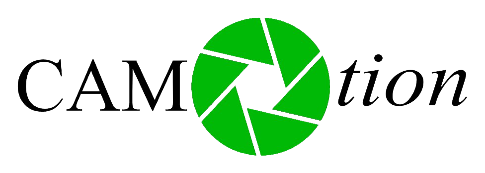 website logo