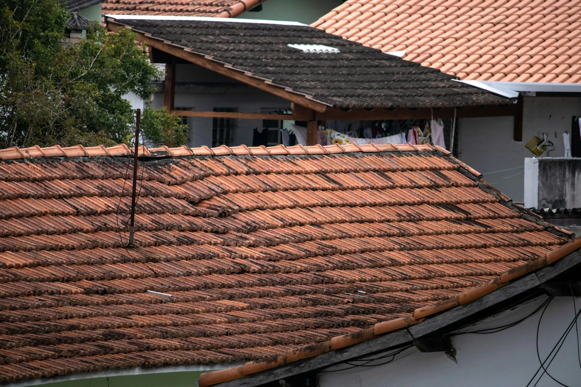 Roof with missing shingles that needs repair