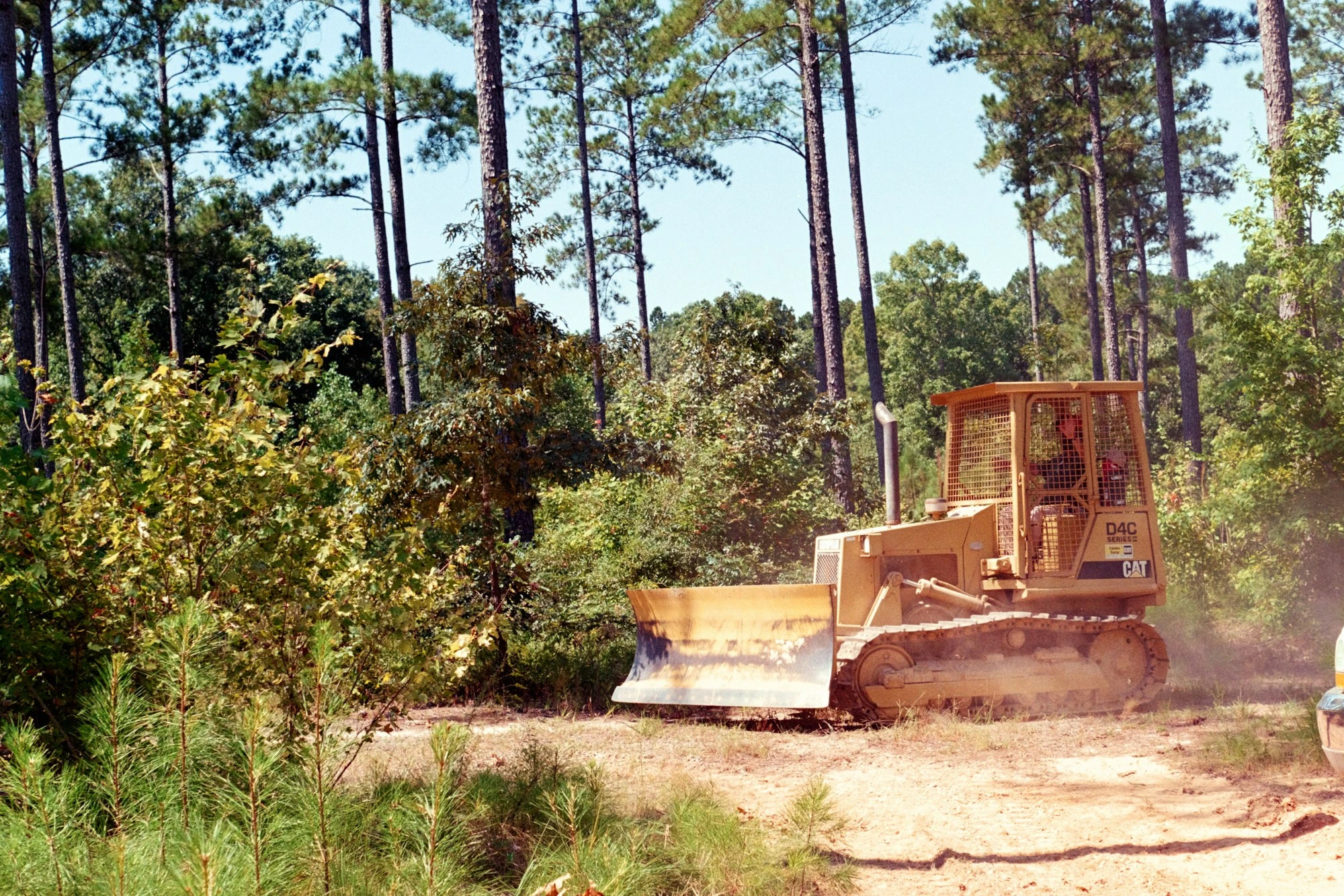Bulldozer clearing brush and trees on a wooded lot in Polk County, Florida