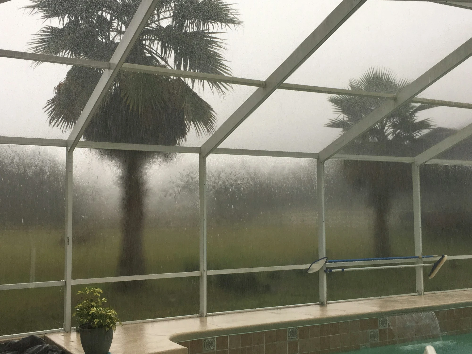 Backyard pool area at a Winter Haven home