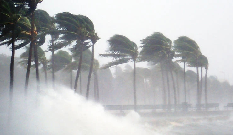 blog post Top 10 Tips for Safeguarding Your Roof During Florida's Hurricane Season