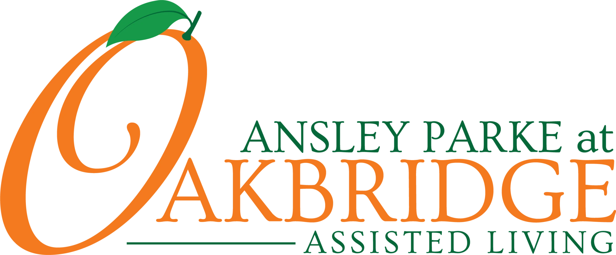 website logo