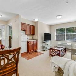 item Our Community _01_AnsleyParkeOrangeCity_ModelLiving