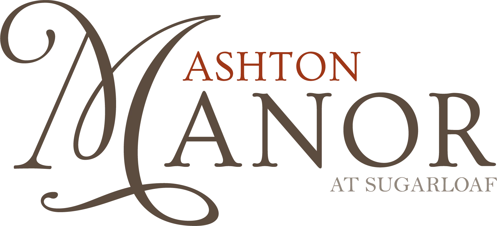 website logo
