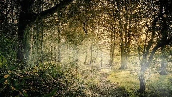 blog post The Future of Senior Living: How Technology and Care Are Redefining Aging