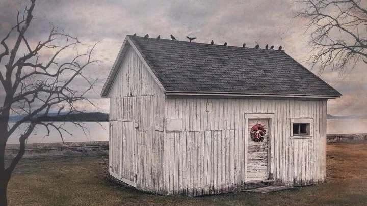 blog post Aging in Place Isn't Always the Win We Think It Is