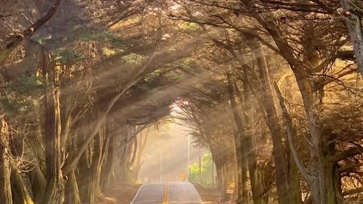 blog post The Work of Unlearning: Why Disciplined Investors Strive to Be Less Wrong