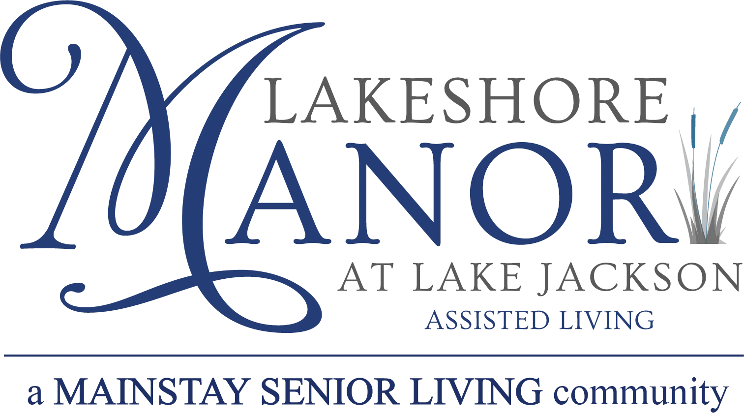 website logo  