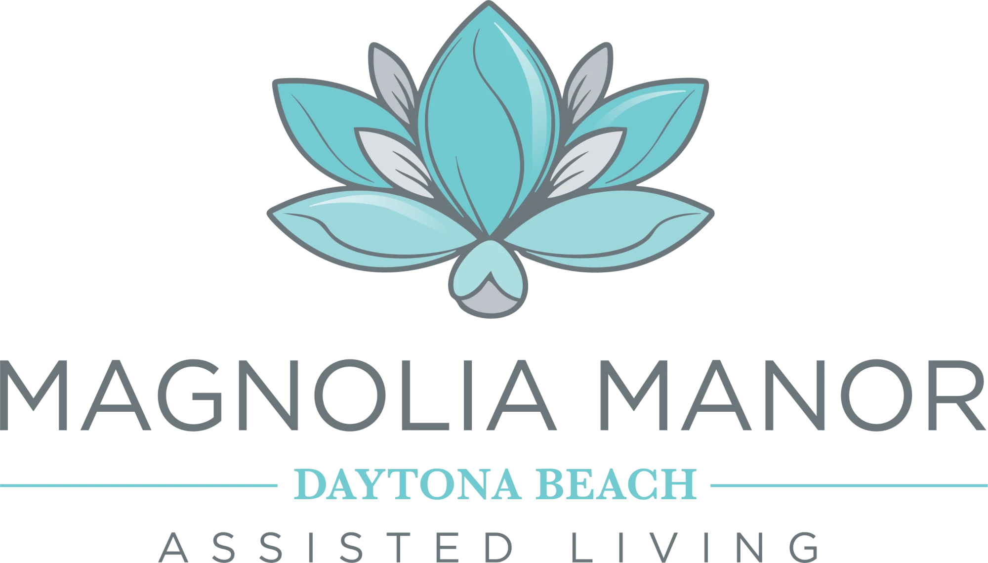 website logo