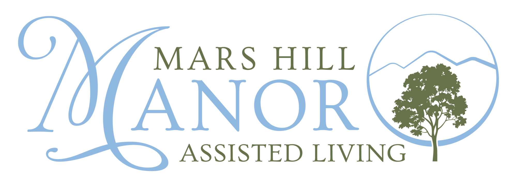 website logo