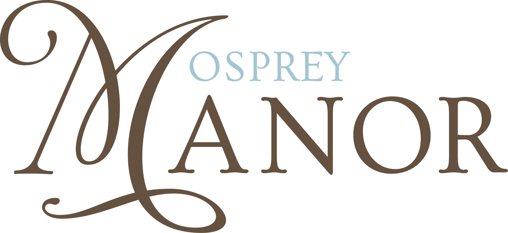 website logo