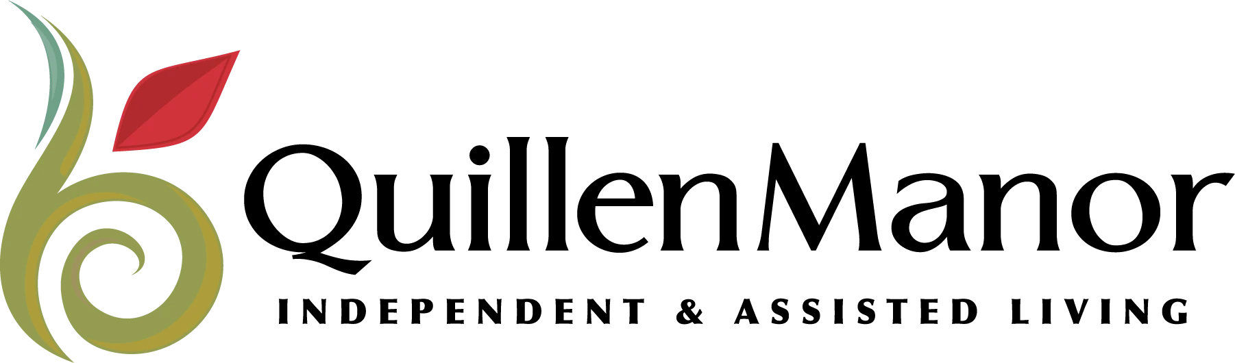 website logo