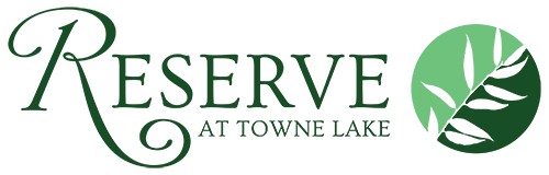 website logo