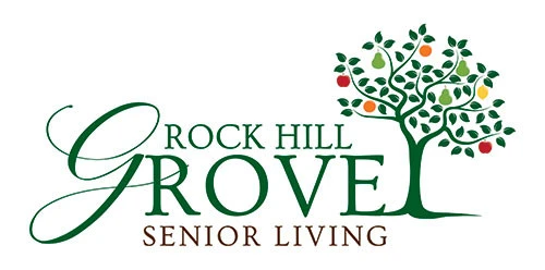 website logo  