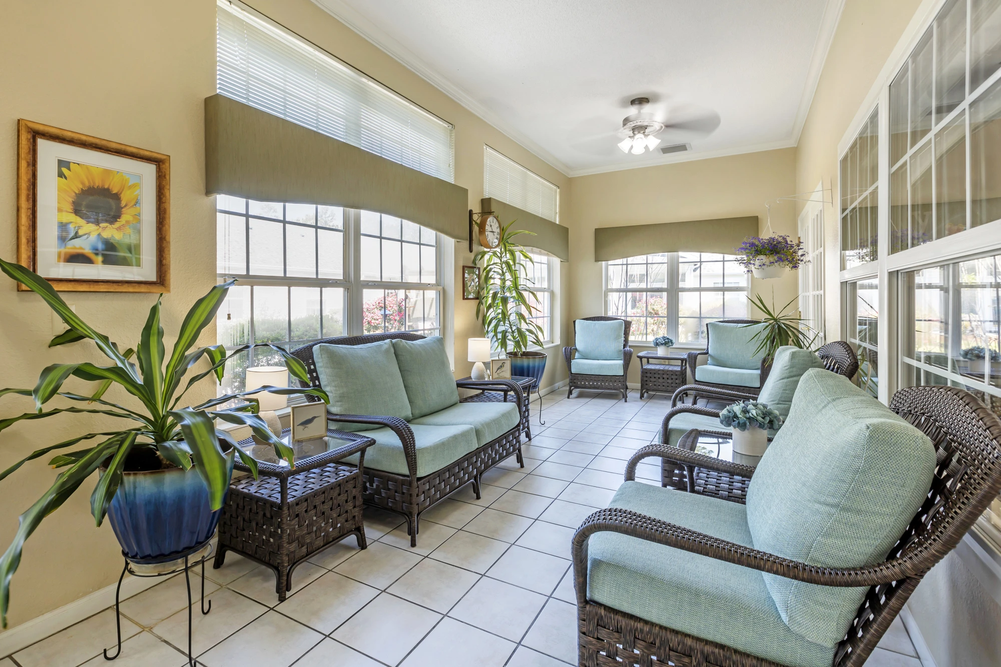 item Our Community Springtree Columbia 4
