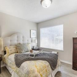 item Our Community Springtree Columbia 8