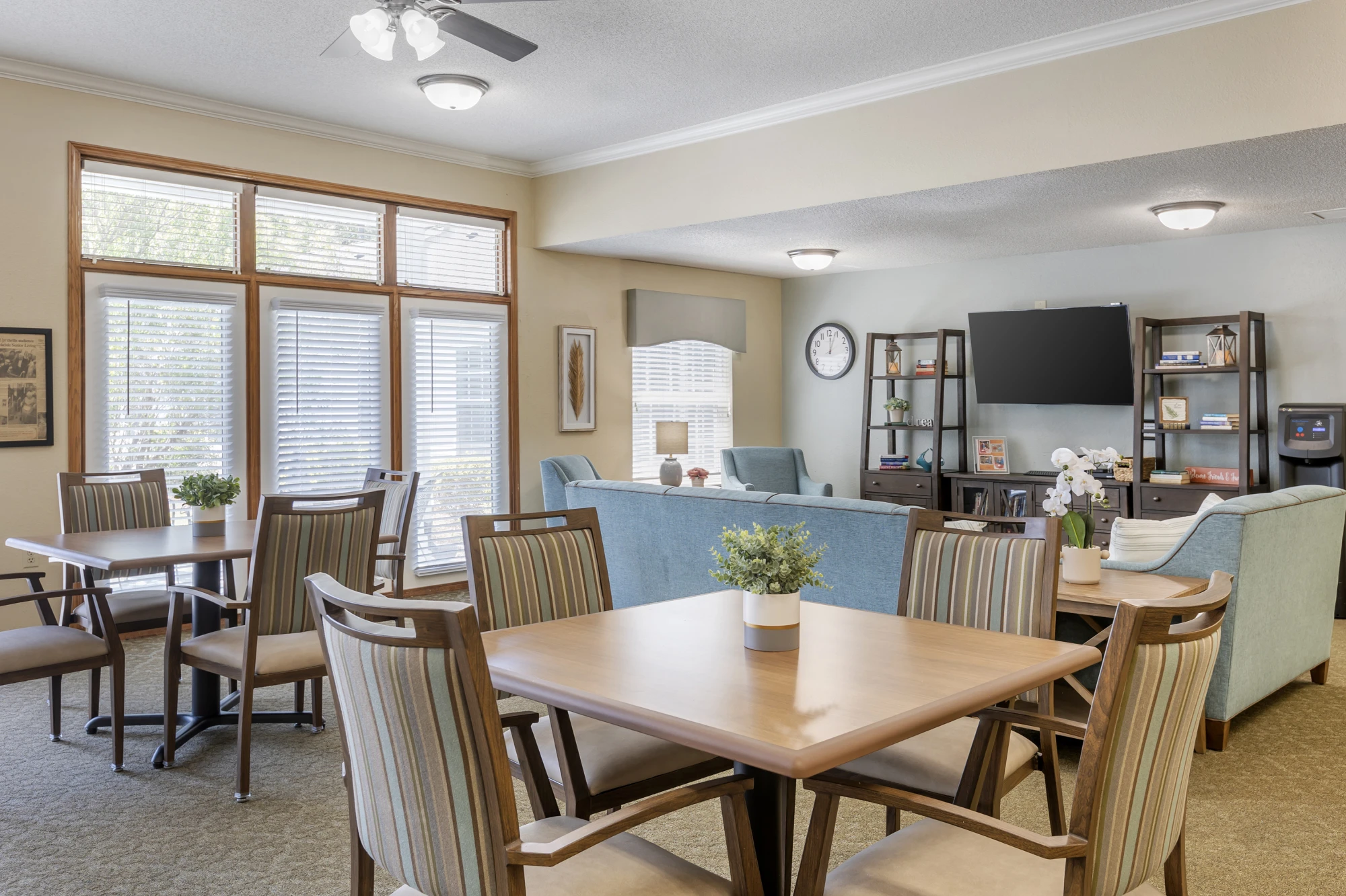 item Our Community Springtree Columbia 5