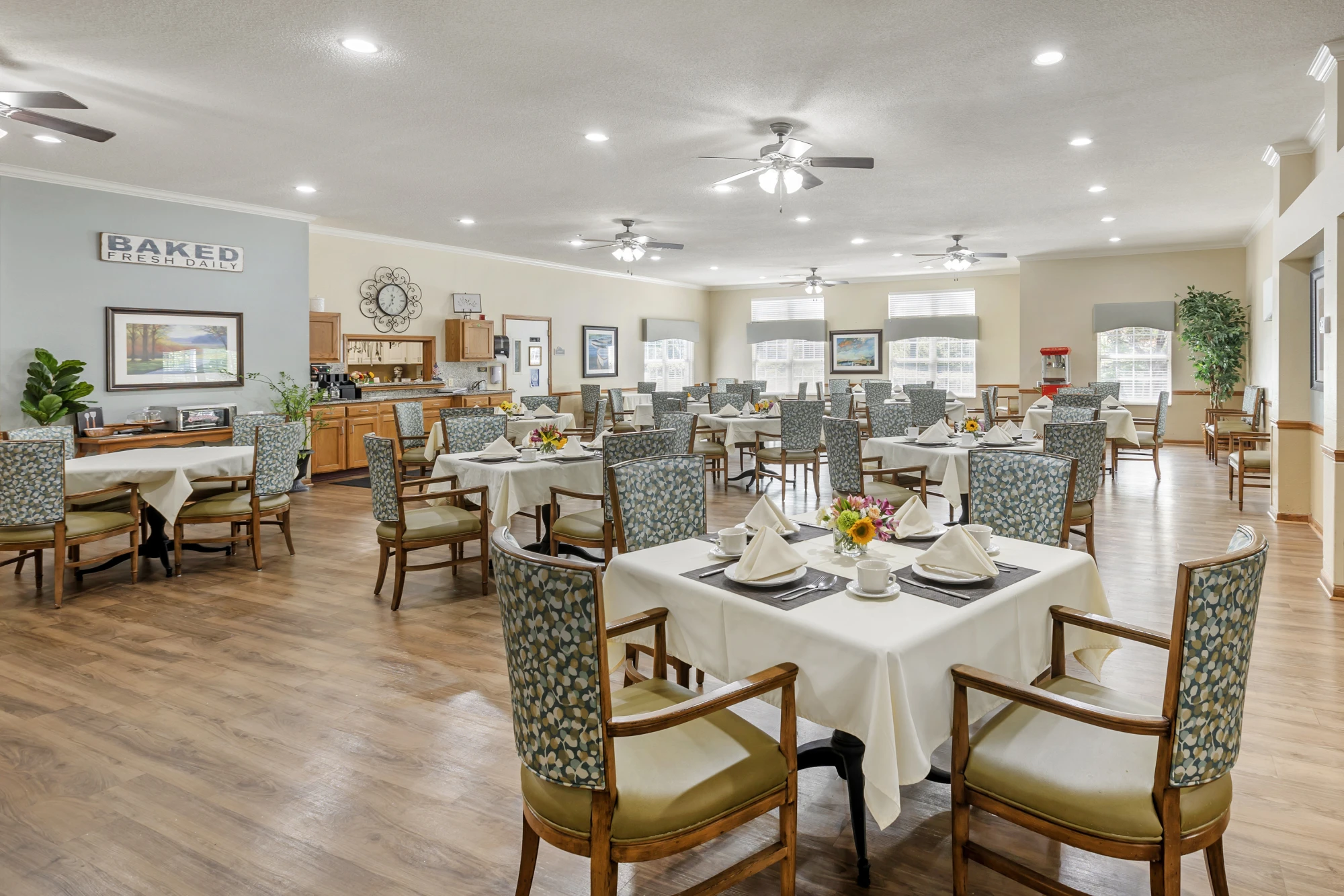 item Our Community Springtree Columbia 7