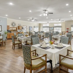 item Our Community Springtree Columbia 7