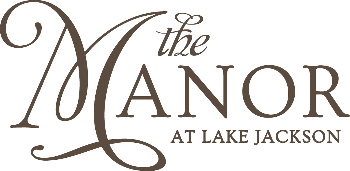 website logo