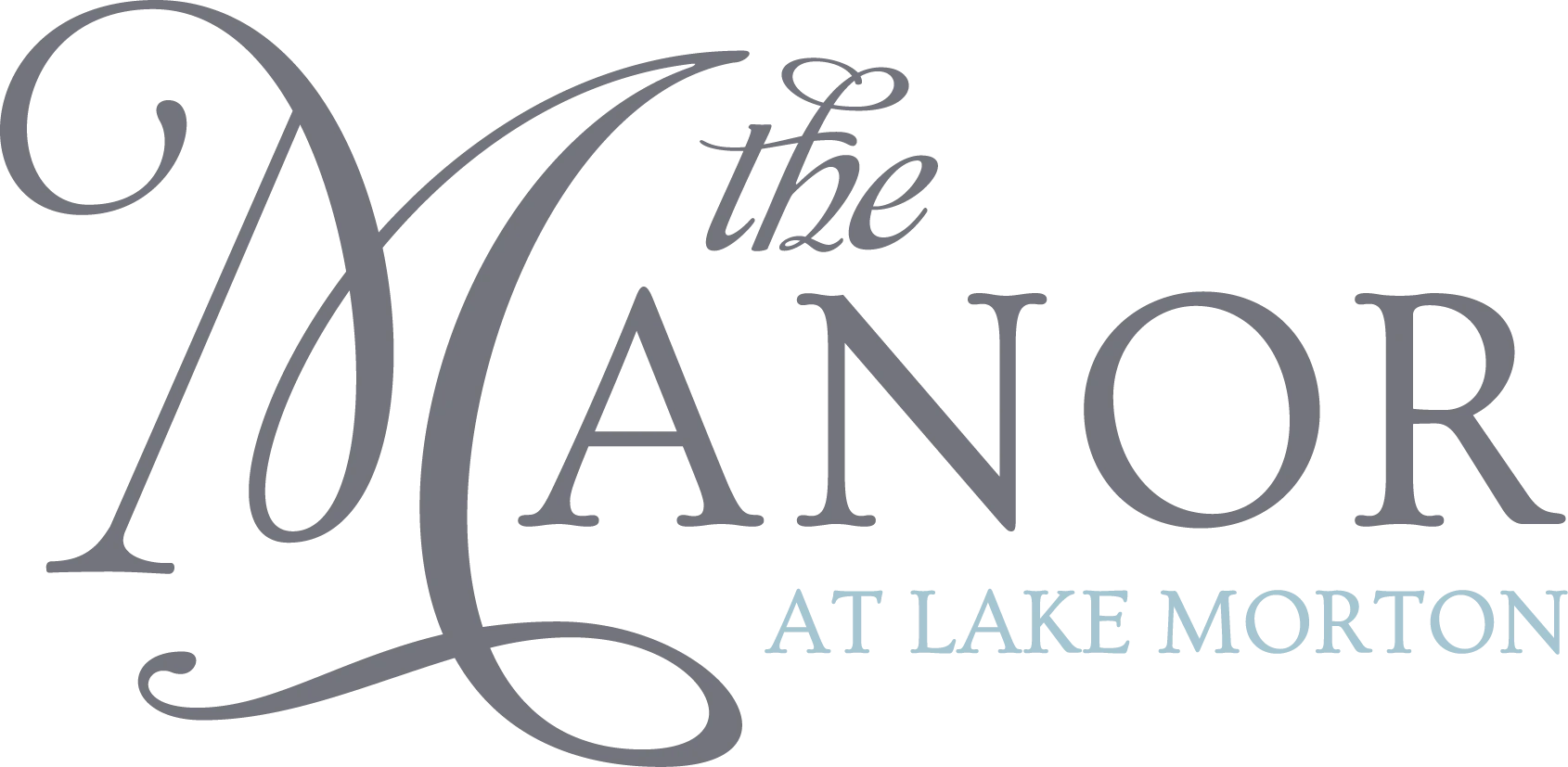 website logo