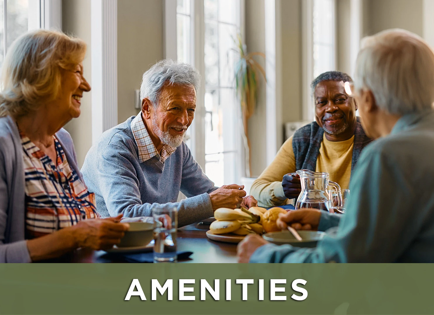 Image of senior friends around a dining table engaged in conversation with a link to the Amenities page for more information