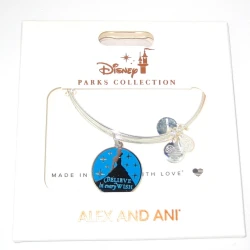 item Disney Alex & Ani Bracelet - Cinderella - Believe every Wish - Silver s-l1200 (3) 10