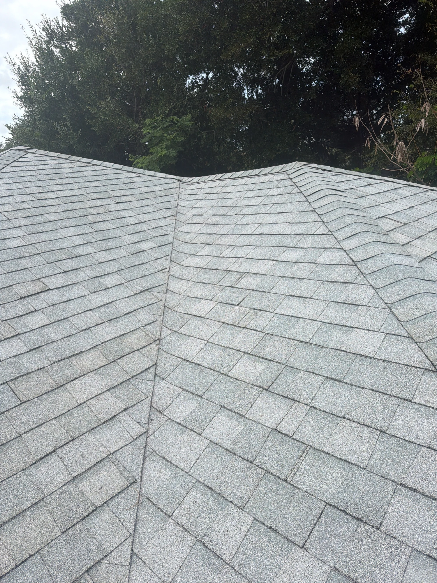 New architectural shingle roof installed by R.I.G. Roofing