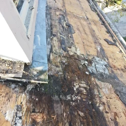 item Roof Wear & Damage RIGr dryrot