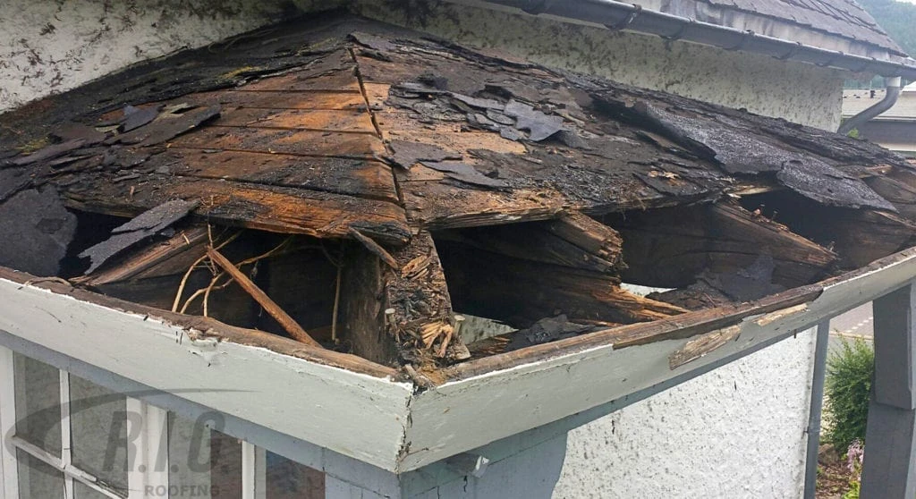 A Leaking Roof Can Ruin More Than Just Your Day - Roof Damage Repair by RIG