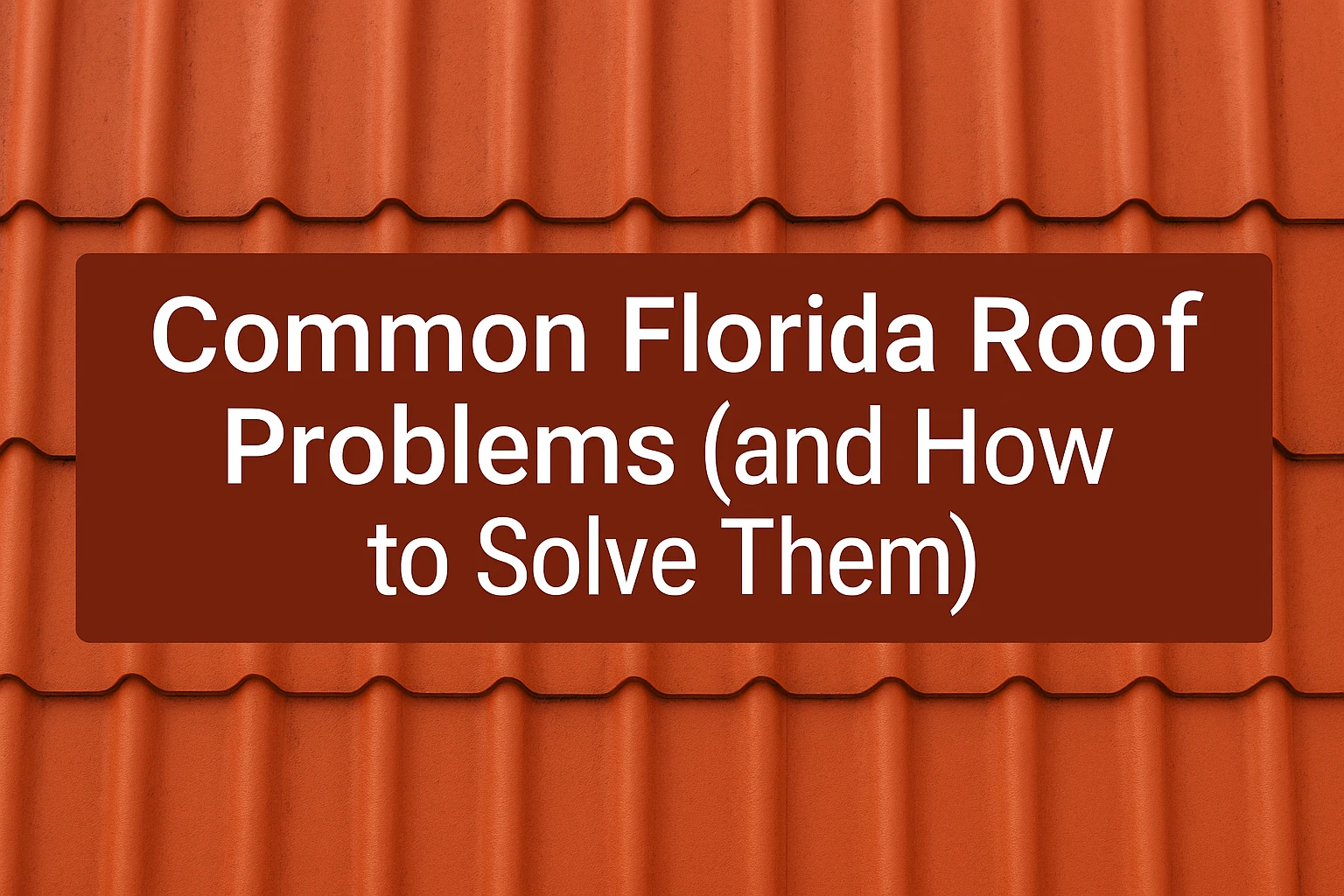 blog post Common Florida Roof Problems (and How to Solve Them)