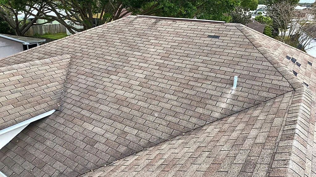 blog post 10 Of The Biggest Roofing Problems In Florida