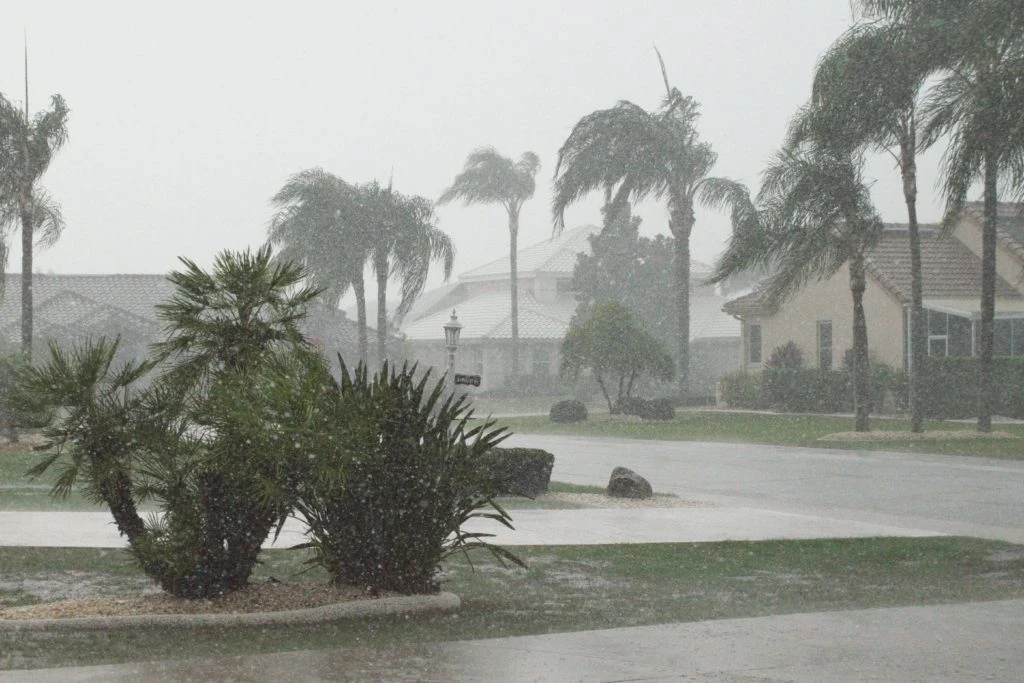 blog post Protecting Your Home From Florida Weather Always Starts With A Strong Roof