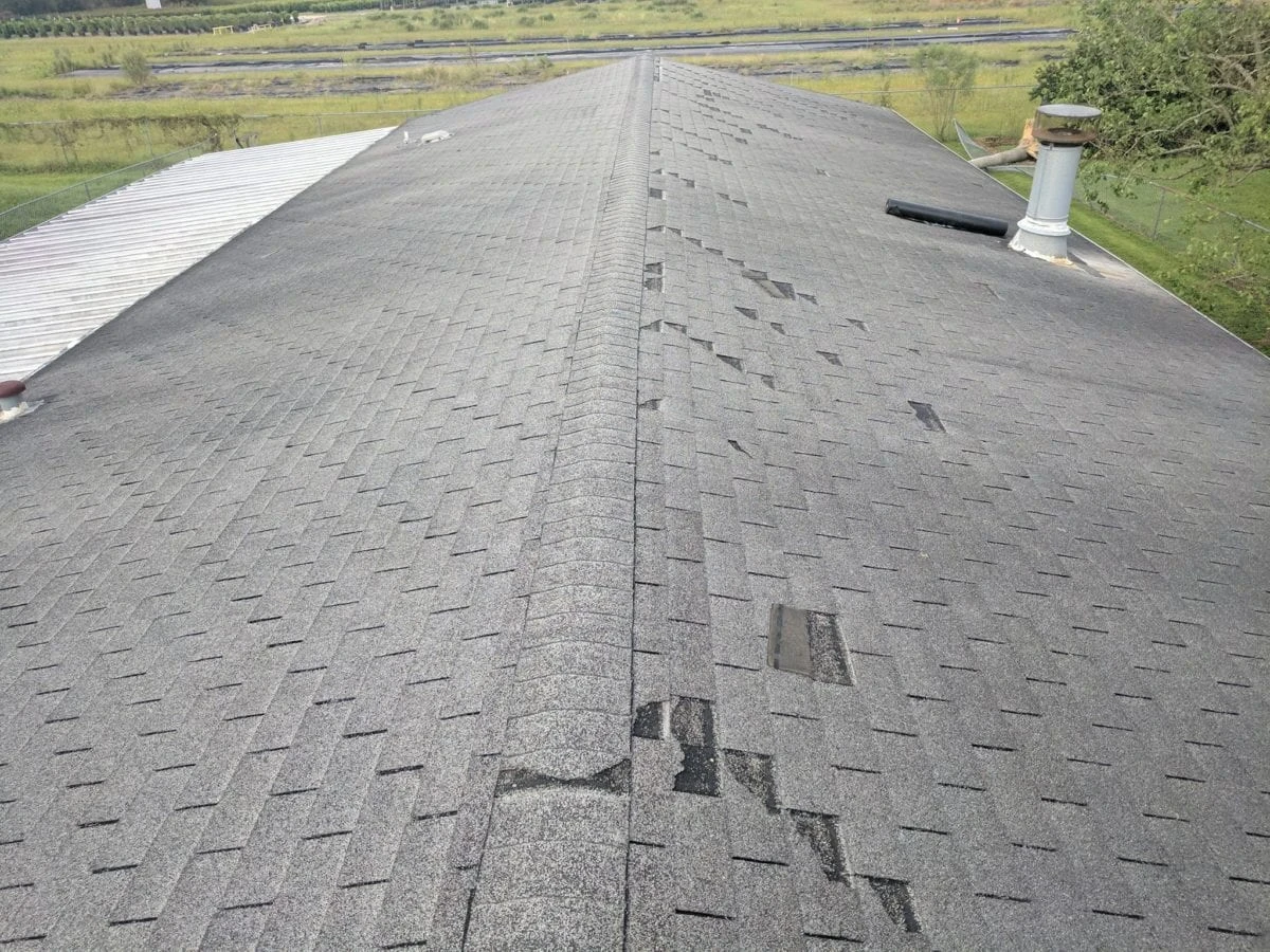 Shingle Damage - Lifted Shingles