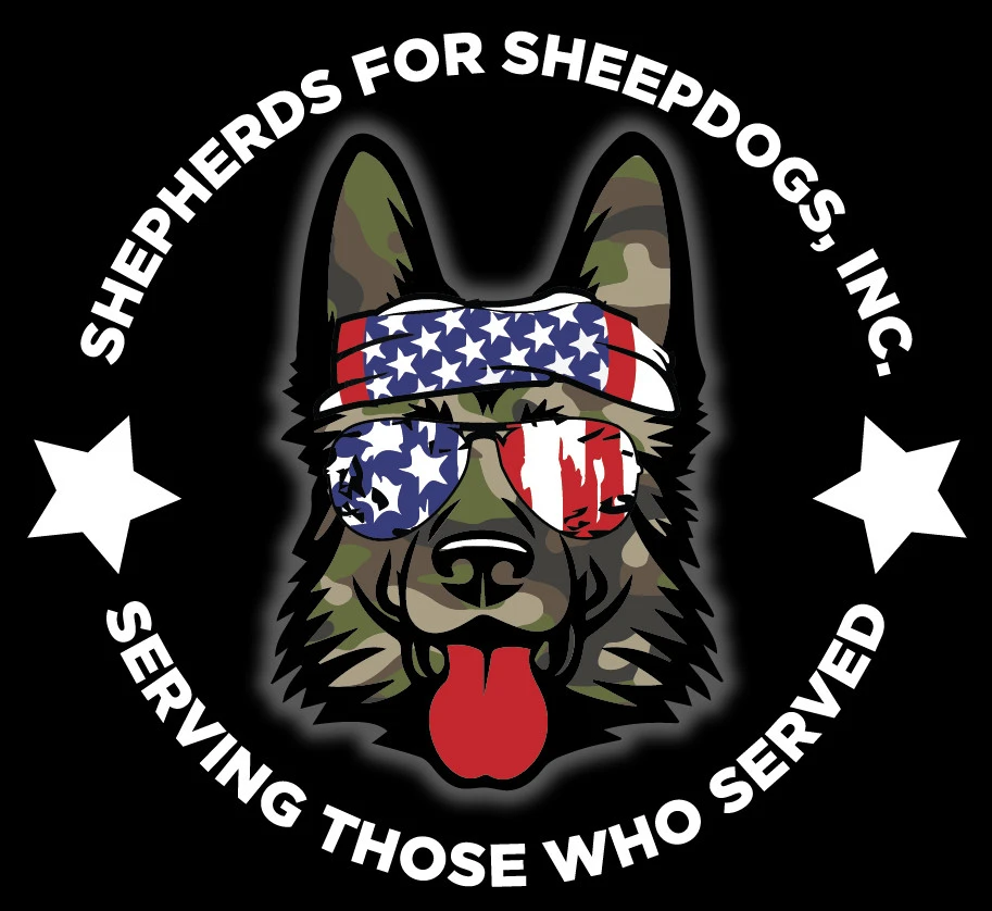 website logo
